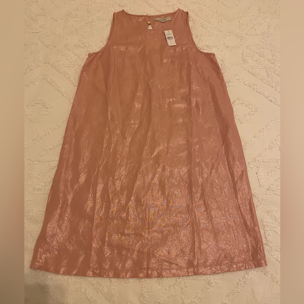 LOFT Pink Shimmery Dress- Size 10